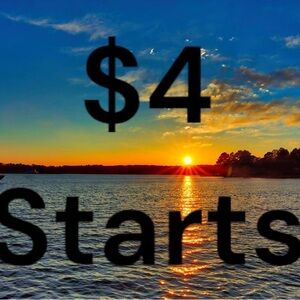 All items in this listing will start at $4 in a live show